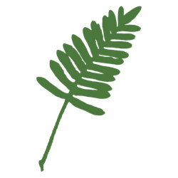 Cat Island Club logo