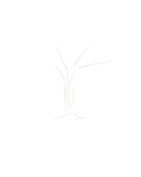 White Beeches Golf & Country Club logo