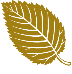 New Haven Country Club logo