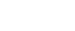 The Woodlands Country Club The Palmer logo