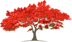 Royal Poinciana Golf Club logo